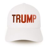 TRUMP All Red Color Ways Hat